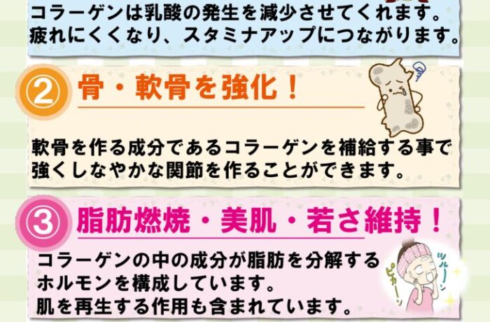 コラーゲンちらし２０５のサムネイル