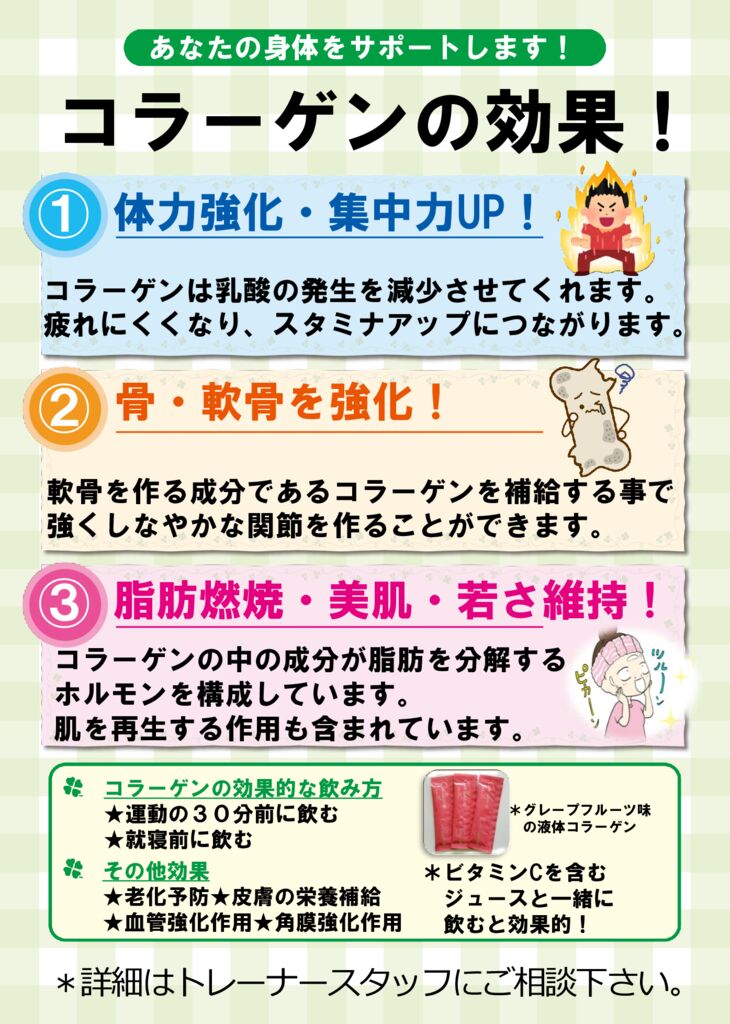 コラーゲンちらし２０５のサムネイル